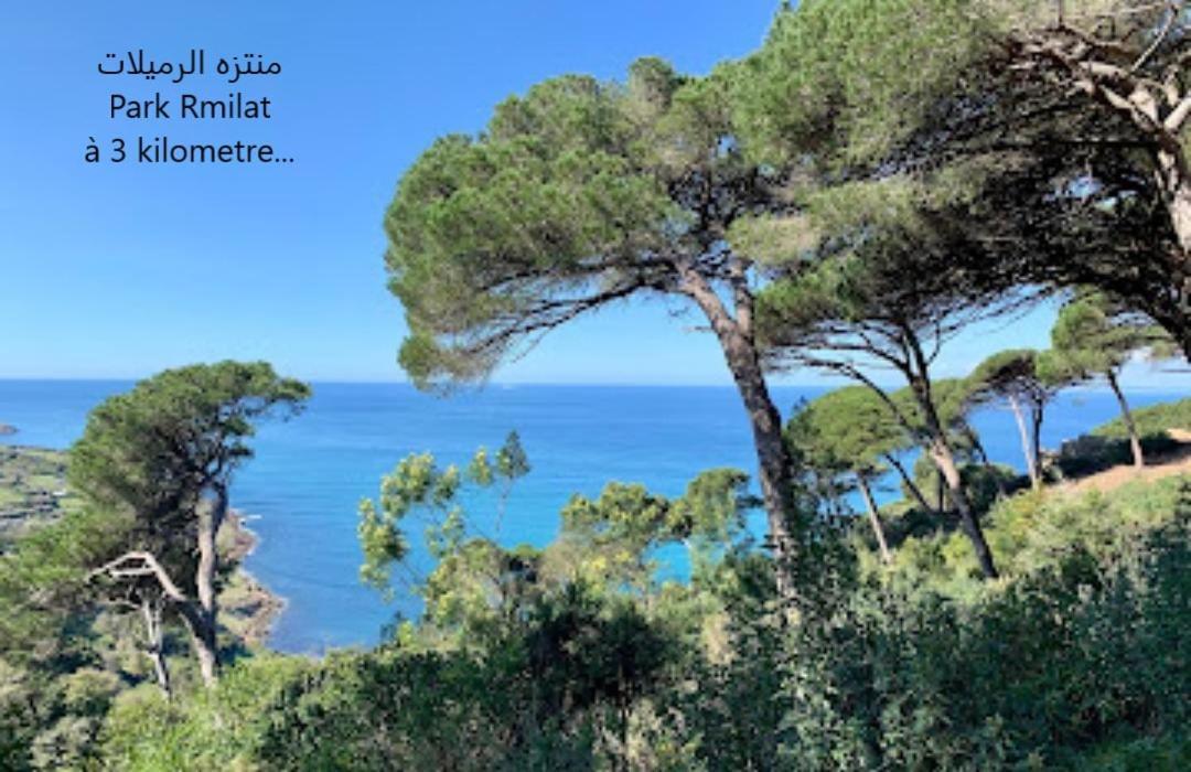 Perla Familial Apartment Tanger