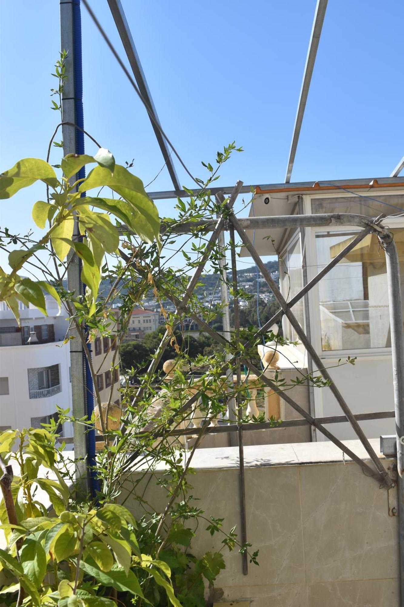 Perla Familial Apartment Tanger